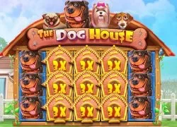 Coral Casino casino GB The Dog House